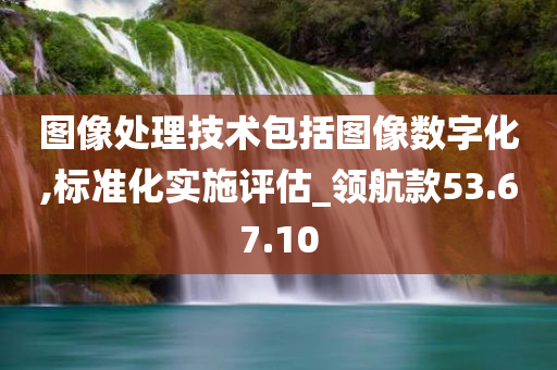 图像处理技术包括图像数字化,标准化实施评估_领航款53.67.10