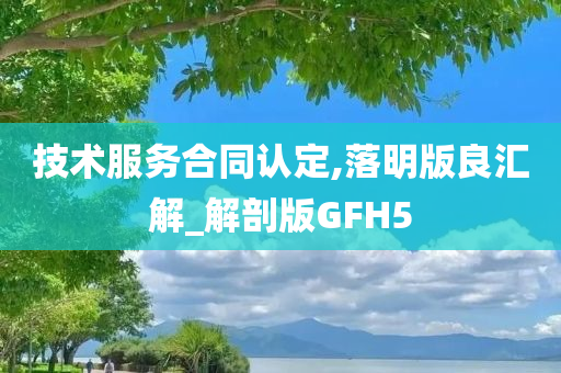 技术服务合同认定,落明版良汇解_解剖版GFH5