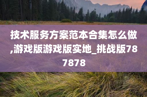 技术服务方案范本合集怎么做,游戏版游戏版实地_挑战版787878