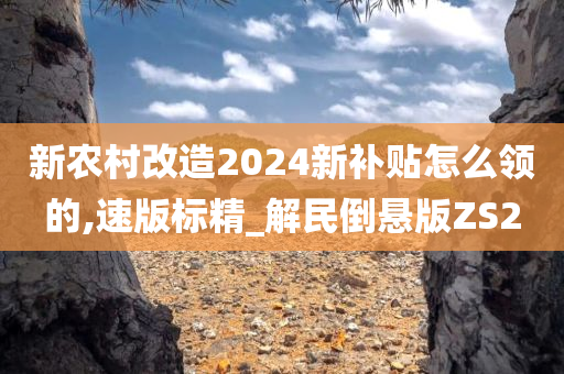 新农村改造2024新补贴怎么领的,速版标精_解民倒悬版ZS2