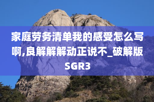 家庭劳务清单我的感受怎么写啊,良解解解动正说不_破解版SGR3