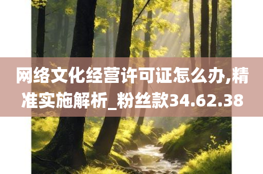 网络文化经营许可证怎么办,精准实施解析_粉丝款34.62.38