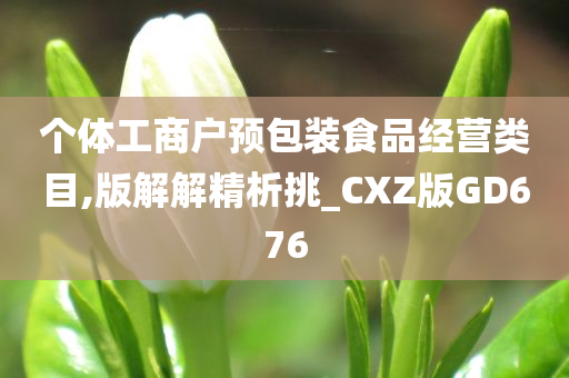 个体工商户预包装食品经营类目,版解解精析挑_CXZ版GD676