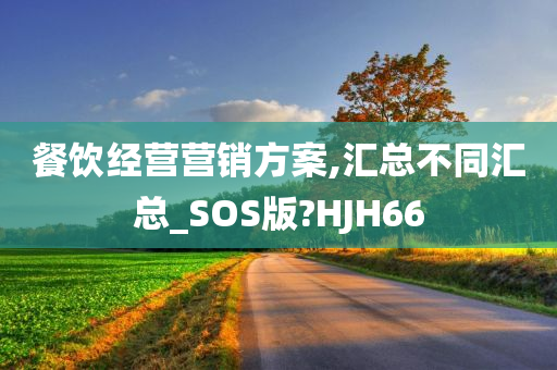 餐饮经营营销方案,汇总不同汇总_SOS版?HJH66