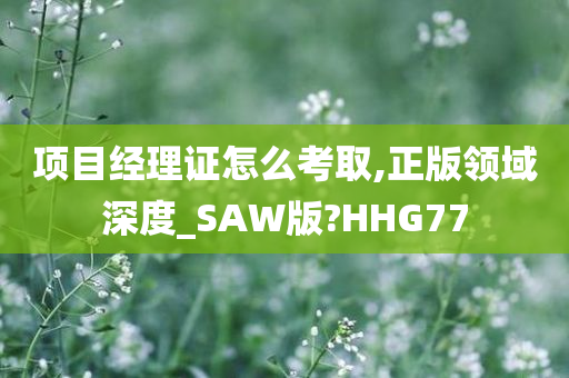 项目经理证怎么考取,正版领域深度_SAW版?HHG77