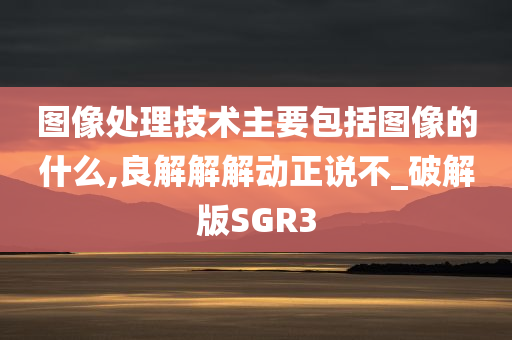 图像处理技术主要包括图像的什么,良解解解动正说不_破解版SGR3