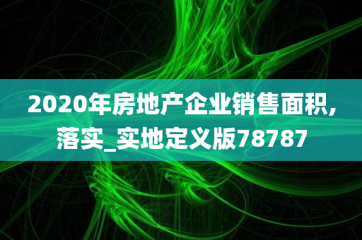 2020年房地产企业销售面积,落实_实地定义版78787