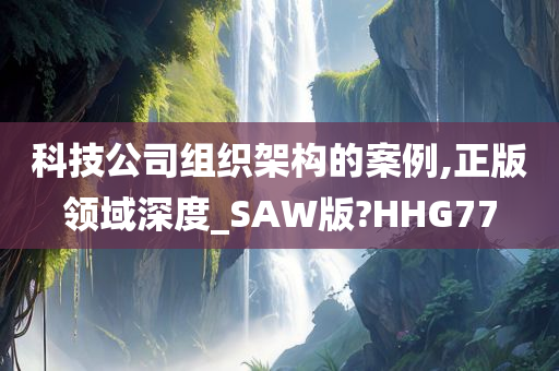 科技公司组织架构的案例,正版领域深度_SAW版?HHG77