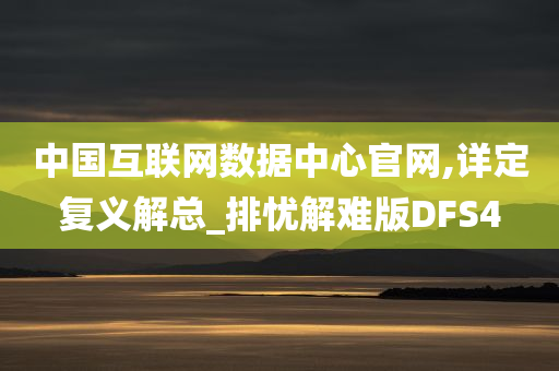 中国互联网数据中心官网,详定复义解总_排忧解难版DFS4