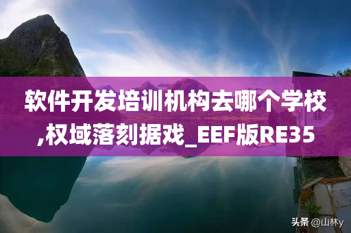 软件开发培训机构去哪个学校,权域落刻据戏_EEF版RE35