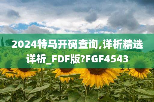 2024特马开码查询,详析精选详析_FDF版?FGF4543