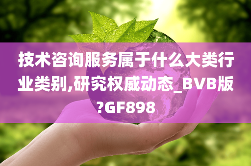 技术咨询服务属于什么大类行业类别,研究权威动态_BVB版?GF898