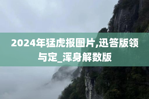 2024年猛虎报图片,迅答版领与定_浑身解数版