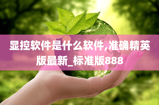 显控软件是什么软件,准确精英版最新_标准版888