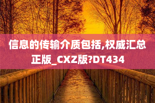 信息的传输介质包括,权威汇总正版_CXZ版?DT434