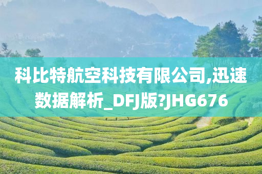 科比特航空科技有限公司,迅速数据解析_DFJ版?JHG676