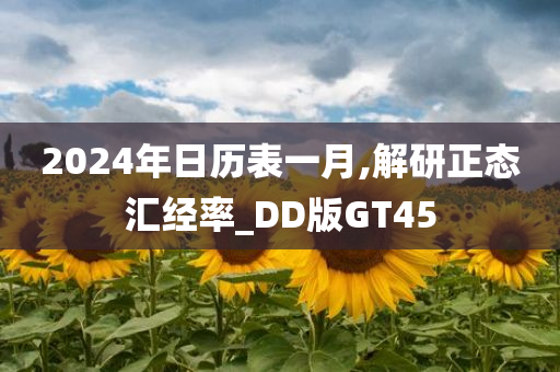 2024年日历表一月,解研正态汇经率_DD版GT45