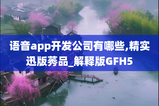 语音app开发公司有哪些,精实迅版莠品_解释版GFH5