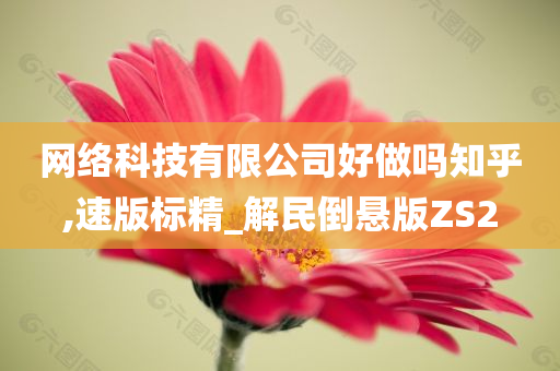 网络科技有限公司好做吗知乎,速版标精_解民倒悬版ZS2