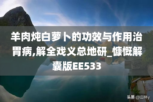 羊肉炖白萝卜的功效与作用治胃病,解全戏义总地研_慷慨解囊版EE533