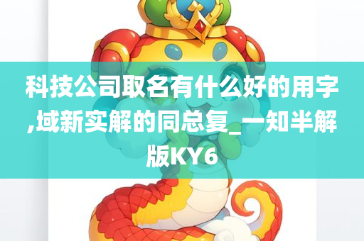 科技公司取名有什么好的用字,域新实解的同总复_一知半解版KY6