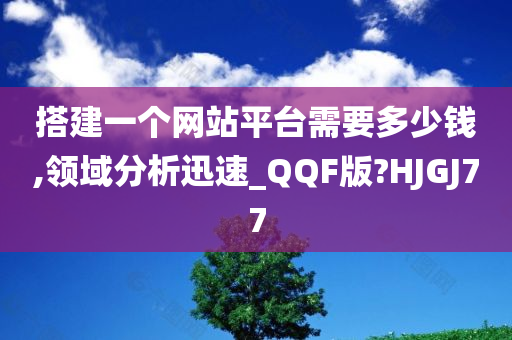 搭建一个网站平台需要多少钱,领域分析迅速_QQF版?HJGJ77