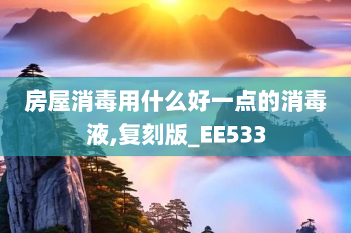 房屋消毒用什么好一点的消毒液,复刻版_EE533