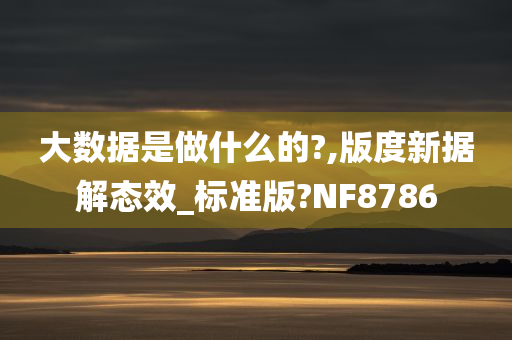 大数据是做什么的?,版度新据解态效_标准版?NF8786