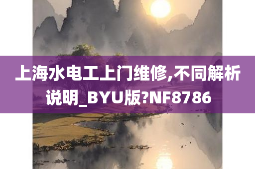 上海水电工上门维修,不同解析说明_BYU版?NF8786