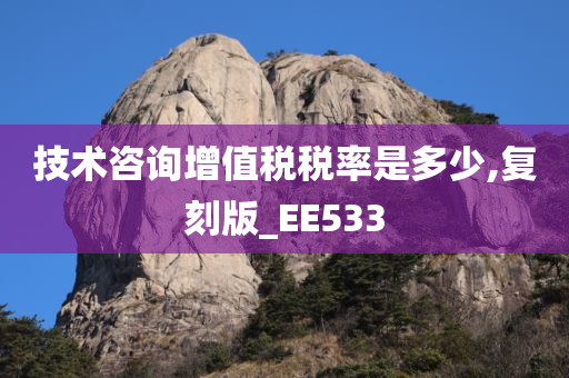 技术咨询增值税税率是多少,复刻版_EE533