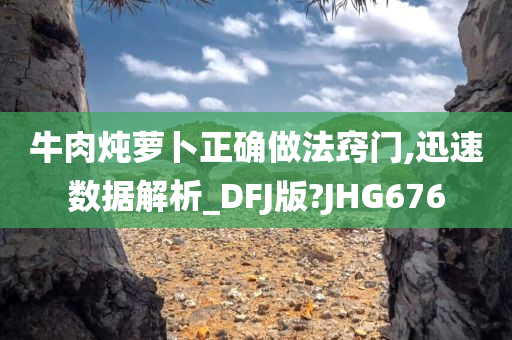 牛肉炖萝卜正确做法窍门,迅速数据解析_DFJ版?JHG676