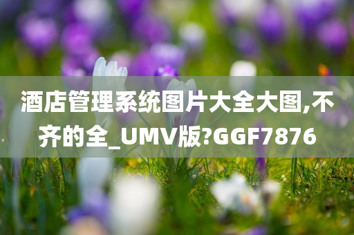 酒店管理系统图片大全大图,不齐的全_UMV版?GGF7876