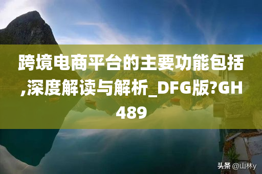 跨境电商平台的主要功能包括,深度解读与解析_DFG版?GH489