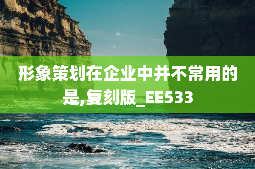 形象策划在企业中并不常用的是,复刻版_EE533