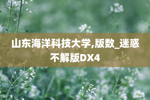 山东海洋科技大学,版数_迷惑不解版DX4