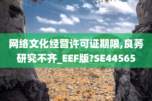 网络文化经营许可证期限,良莠研究不齐_EEF版?SE44565