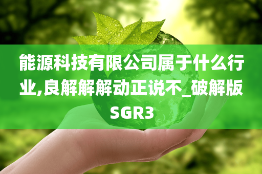 能源科技有限公司属于什么行业,良解解解动正说不_破解版SGR3