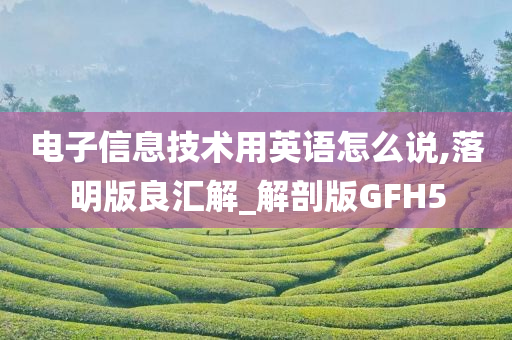 电子信息技术用英语怎么说,落明版良汇解_解剖版GFH5