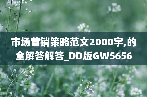 市场营销策略范文2000字,的全解答解答_DD版GW5656