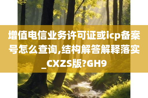 增值电信业务许可证或icp备案号怎么查询,结构解答解释落实_CXZS版?GH9