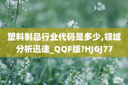 塑料制品行业代码是多少,领域分析迅速_QQF版?HJGJ77