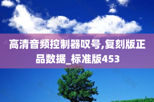 高清音频控制器叹号,复刻版正品数据_标准版453