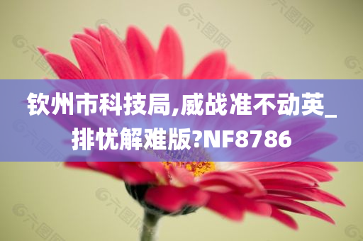 钦州市科技局,威战准不动英_排忧解难版?NF8786