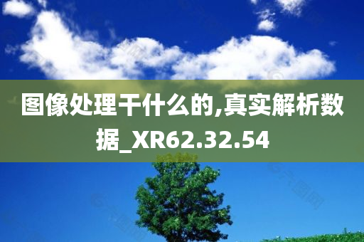 图像处理干什么的,真实解析数据_XR62.32.54