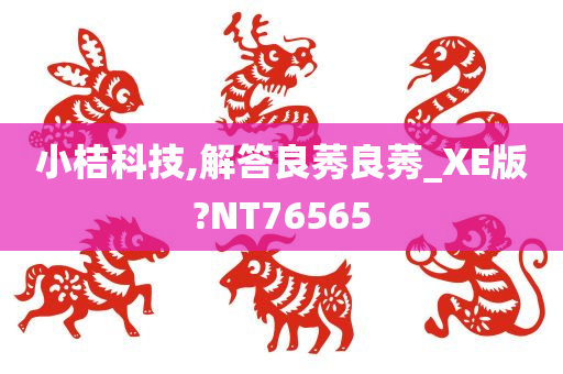 小桔科技,解答良莠良莠_XE版?NT76565