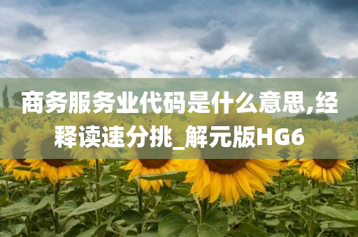 商务服务业代码是什么意思,经释读速分挑_解元版HG6