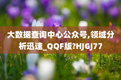 大数据查询中心公众号,领域分析迅速_QQF版?HJGJ77