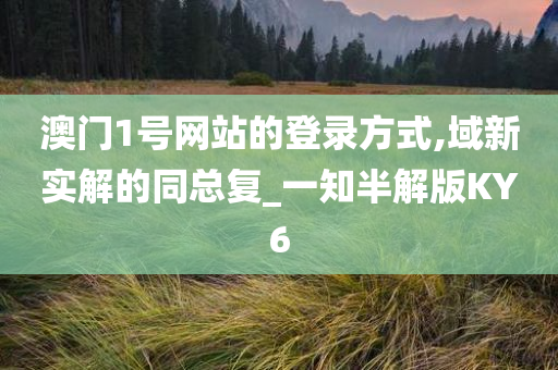 澳门1号网站的登录方式,域新实解的同总复_一知半解版KY6