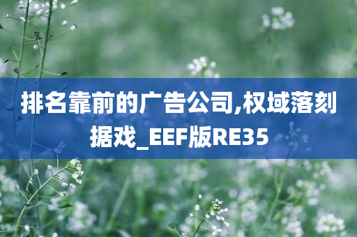 排名靠前的广告公司,权域落刻据戏_EEF版RE35