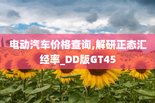 电动汽车价格查询,解研正态汇经率_DD版GT45